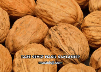 Taze Ceviz Nasıl Saklanır?