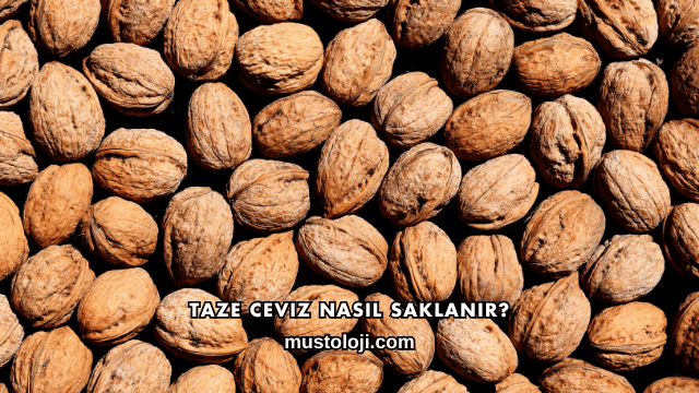 Taze Ceviz Nasıl Saklanır?