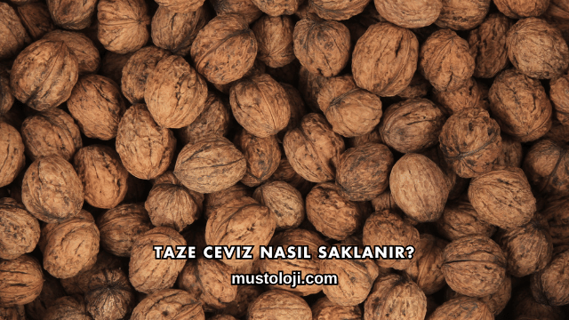 Taze Ceviz Nasıl Saklanır?