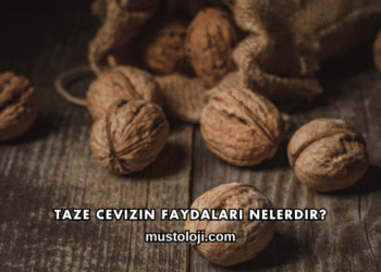 Taze Cevizin Faydaları Nelerdir?