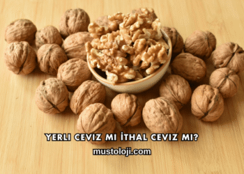Yerli Ceviz mi İthal Ceviz mi?